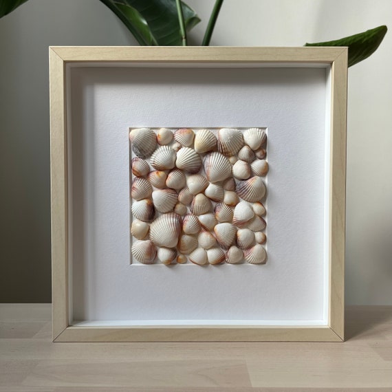 Marina Shell Wall Art